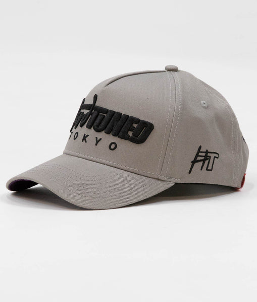 hardtuned-tokyo-gray-a-frame-